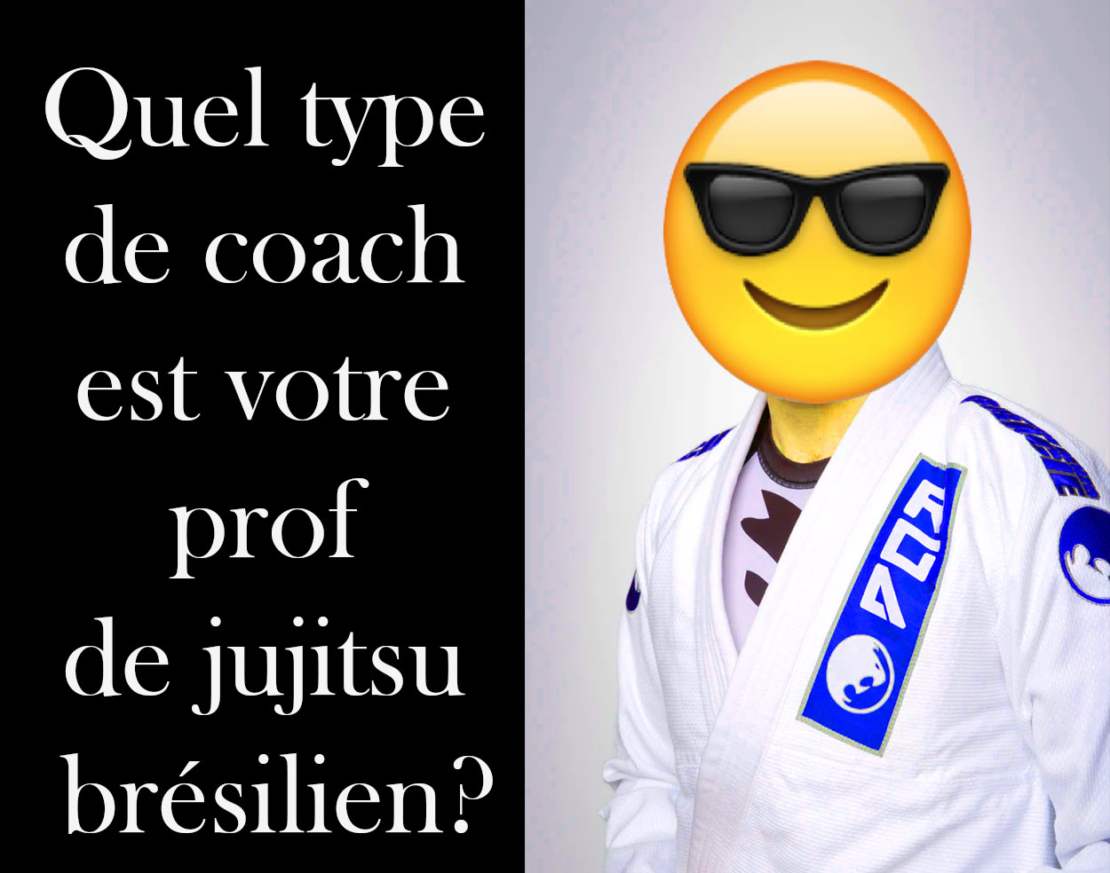 Quel type de coach est votre prof de jujitsu brésilien?